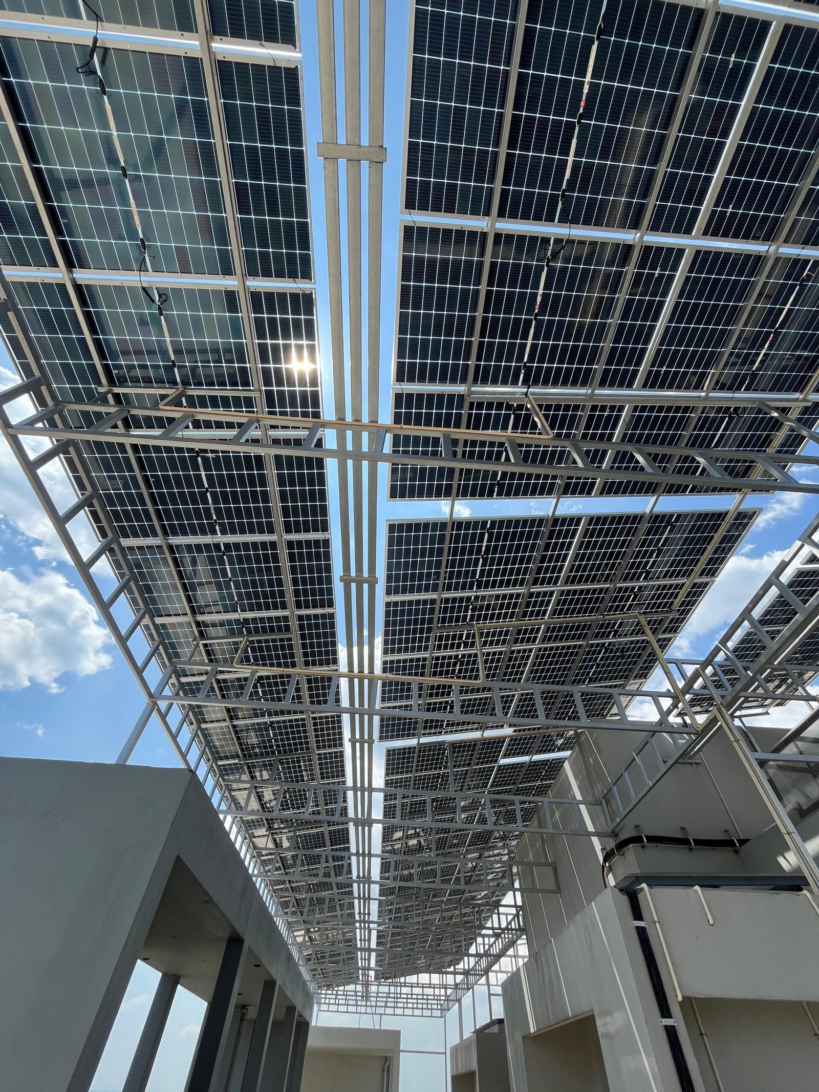 WhatsApp Image 2025-06-03 at 11.39.52 AM (2)