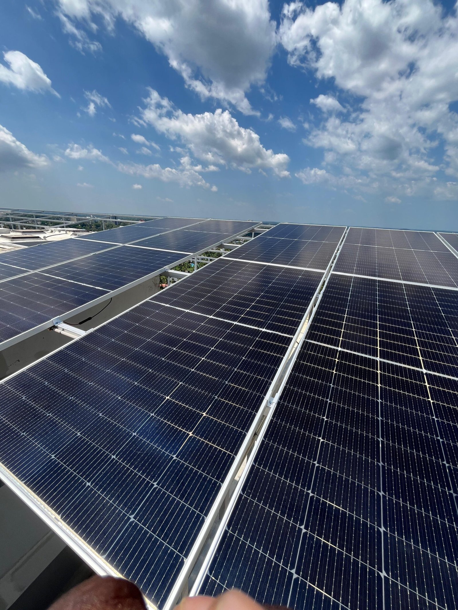 WhatsApp Image 2025-06-03 at 11.39.52 AM